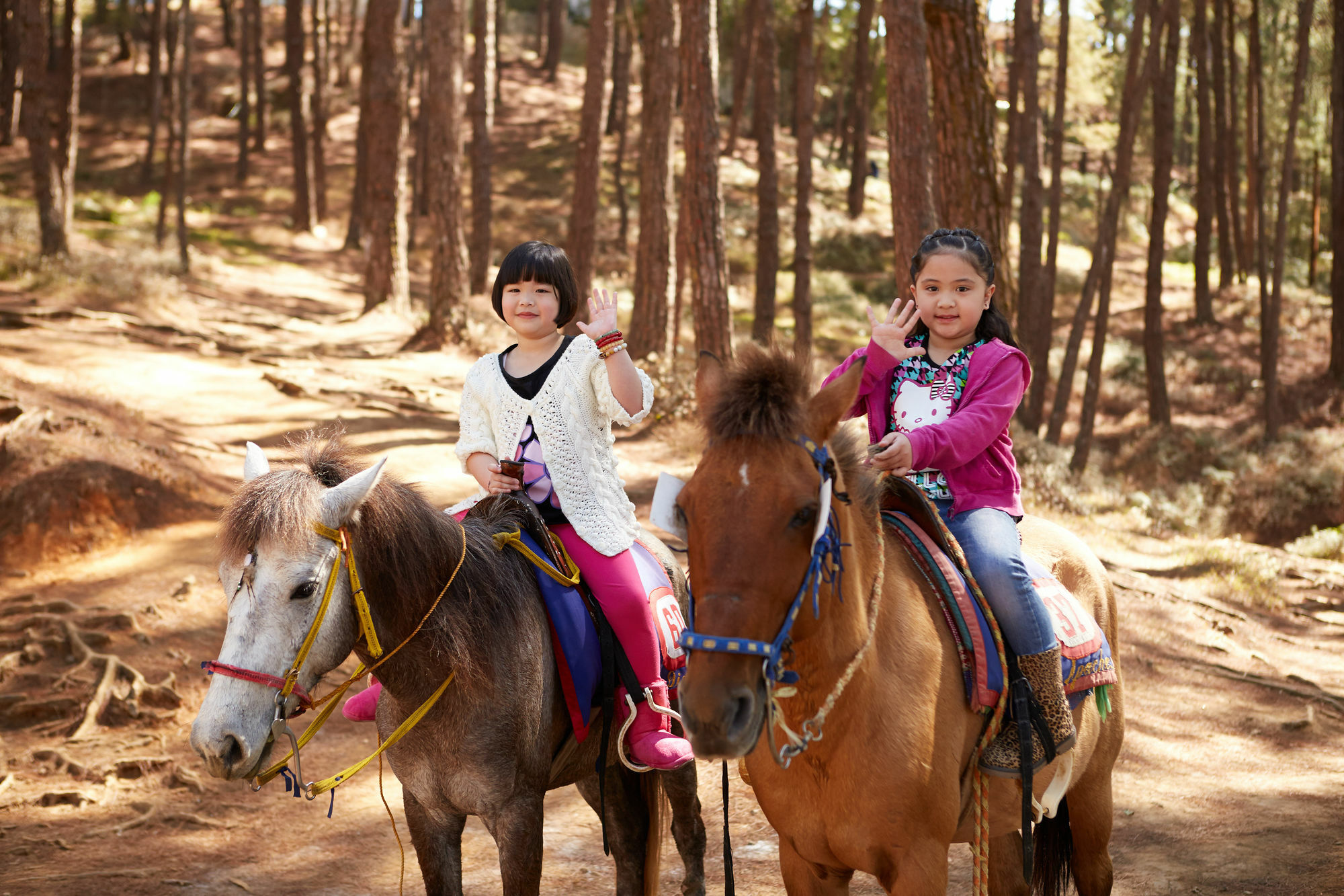 The Manor At Camp John Hay Hotel Baguio City ภายนอก รูปภาพ